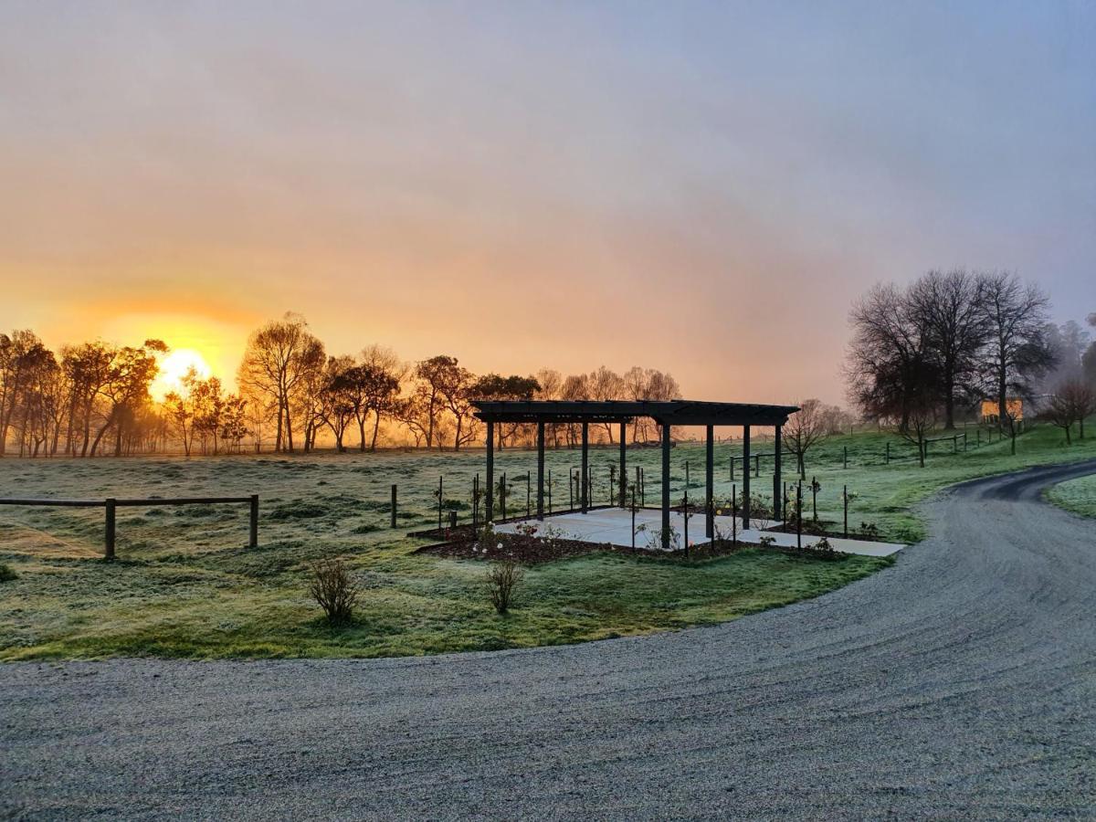 Tallawarra Homestead Tonimbuc Esterno foto