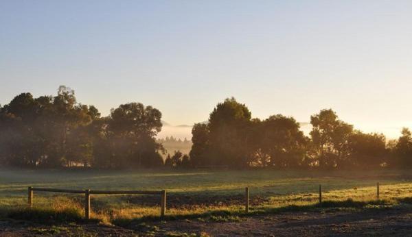 Tallawarra Homestead Tonimbuc Esterno foto