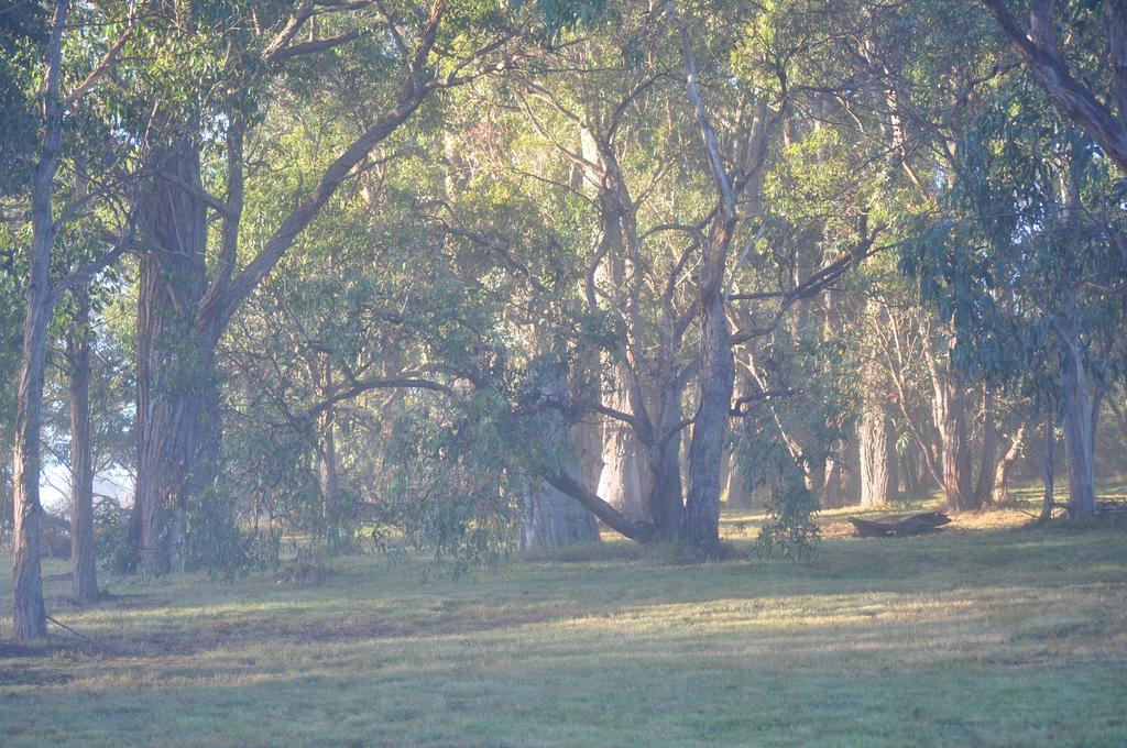 Tallawarra Homestead Tonimbuc Esterno foto
