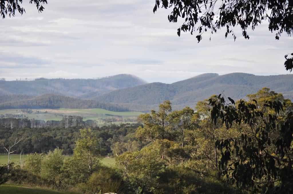 Tallawarra Homestead Tonimbuc Esterno foto