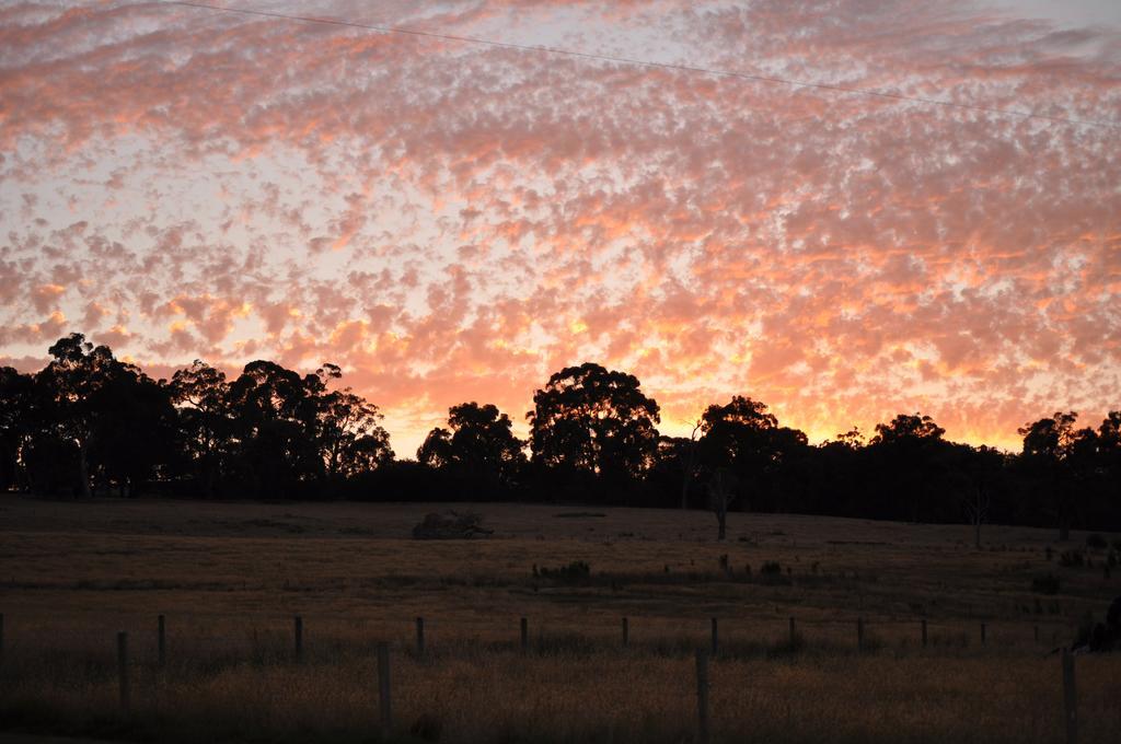 Tallawarra Homestead Tonimbuc Esterno foto